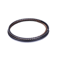 Кільця 65.00 STD - P65F (ZS)